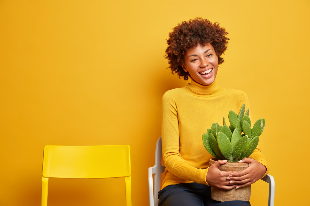 LifePillars Counselling